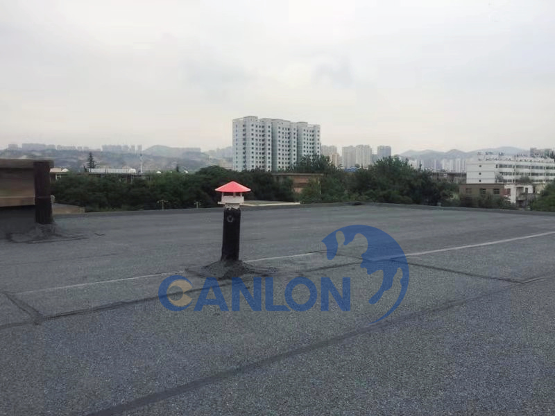 亚洲色欲色欲大片WWW无码
